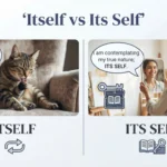 Itself vs Its Self