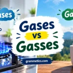Gases vs Gasses
